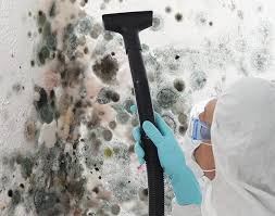 Best Mold Removal for HVAC Installations in Suncook, NH